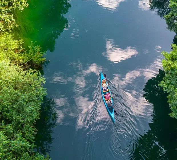 Capabilities - Responsible investing solutions