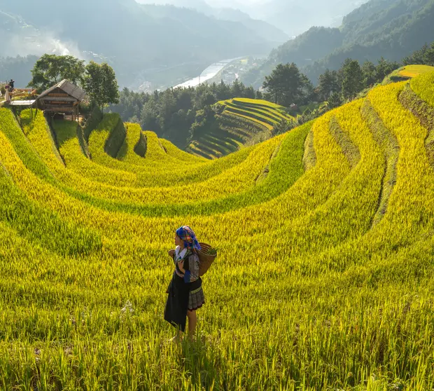 Our commitment - header