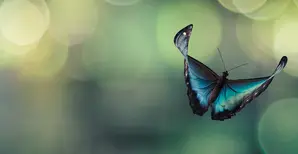 The next stage of ESG evolution in the pension landscape