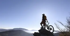 Explore our Enhance Treasury funds