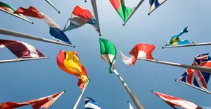 Multipolar world in action