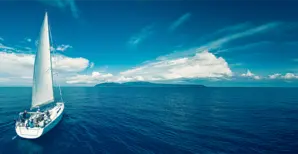 Monthly liquidity letter - header news