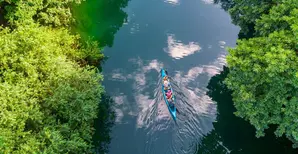 Capabilities - Responsible investing solutions