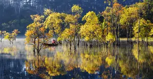 2026.01.08 - Invitation RI Views 2026