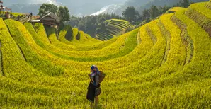 Our commitment - header