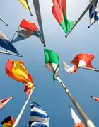 Multipolar world in action