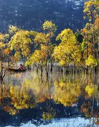 2026.01.08 - Invitation RI Views 2026