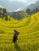 Our commitment - header