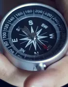 Diversification is the response to rupture