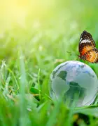 ETF- Amundi MSCI World Screened