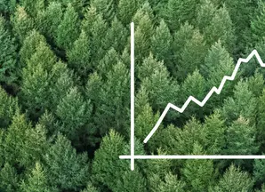 ESG Thema #5 - Carbon offsetting: How can it contribute to the net zero goal?