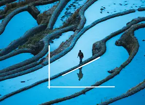 responsible-investment-offering-man-crossing-a-rice-field