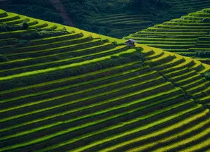 Institutional - Market Stories Outlook 2024- Research center article - 2024 Responsible investment views