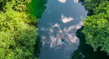 Capabilities - Responsible investing solutions