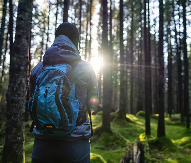 Wanderer im Wald mit Rucksack