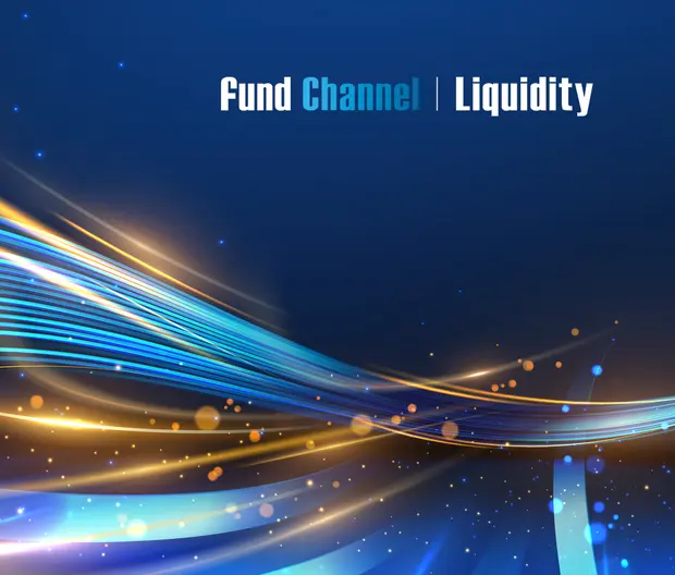 Fund channel liquidity for corporate treasuriers