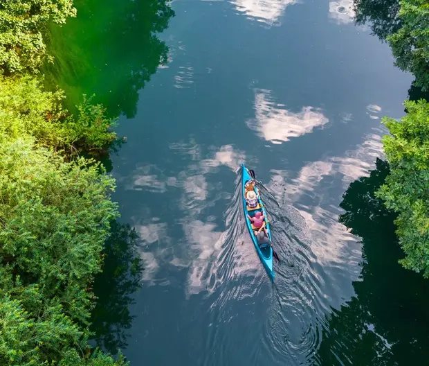 Capabilities - Responsible investing solutions