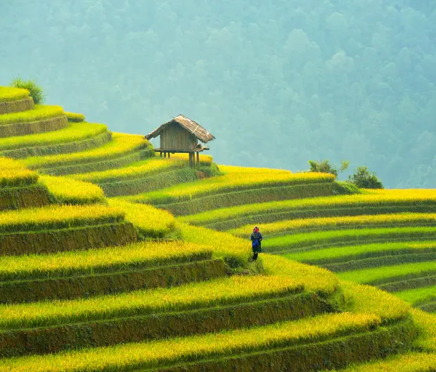 Our commitment - header