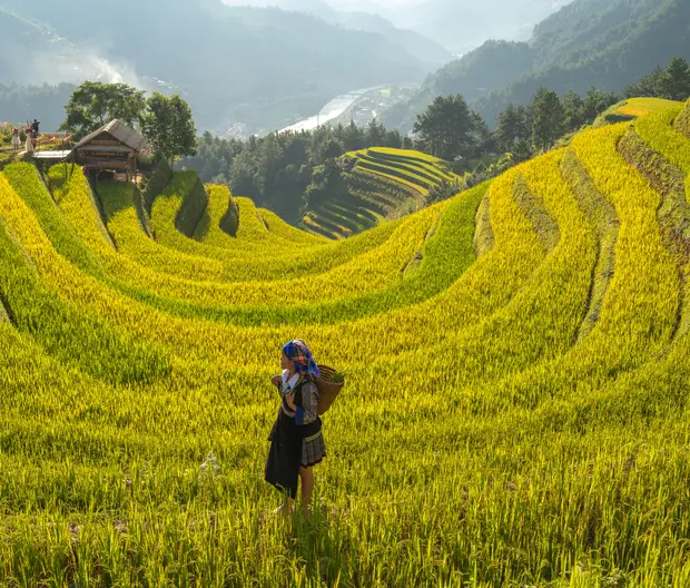 Our commitment - header