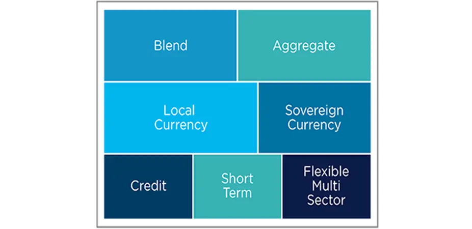 Amundi&#039;s EM significant expertise by segment - fixed income