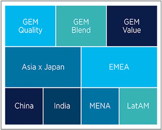 Amundi&#039;s EM significant expertise by segment - equities