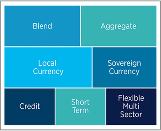 Amundi&#039;s EM significant expertise by segment - fixed income