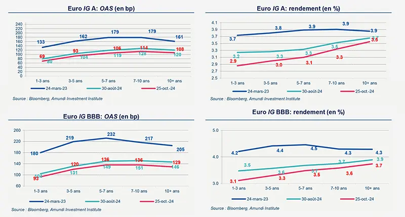 Primary market views 2024_11 market data