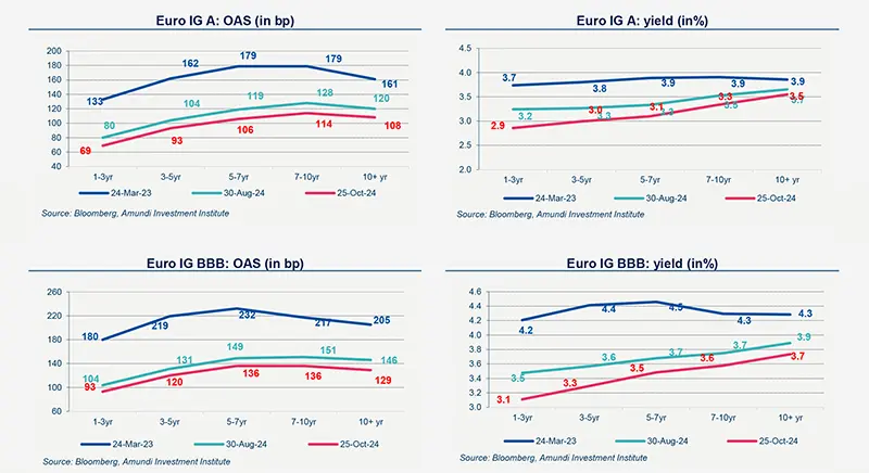 Primary market views 2024_11 market data