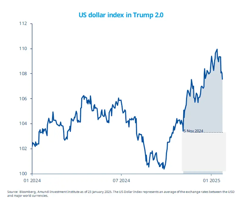 US dollar index in Trump 2.0