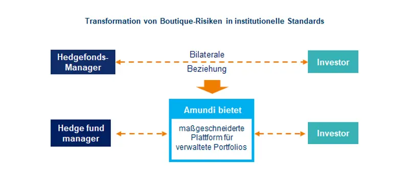 Capabilities-expertise-alternative-funds-platform-Transformation-von-Boutique-Risiken-in-institutionelle-Standards