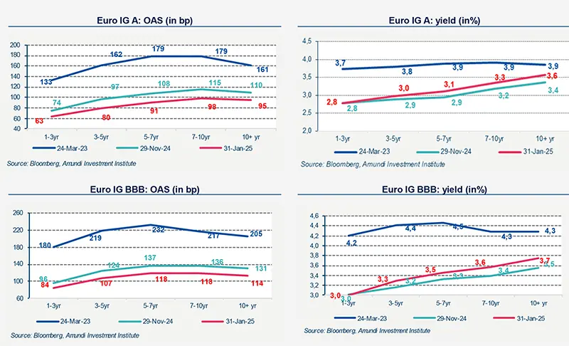 Treasury - Primary Market Views € - February 2025 – Market Data