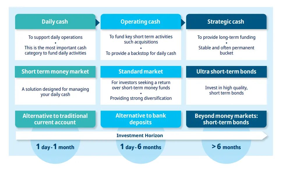 Choose the optimal solution for cash according to your investment horizon