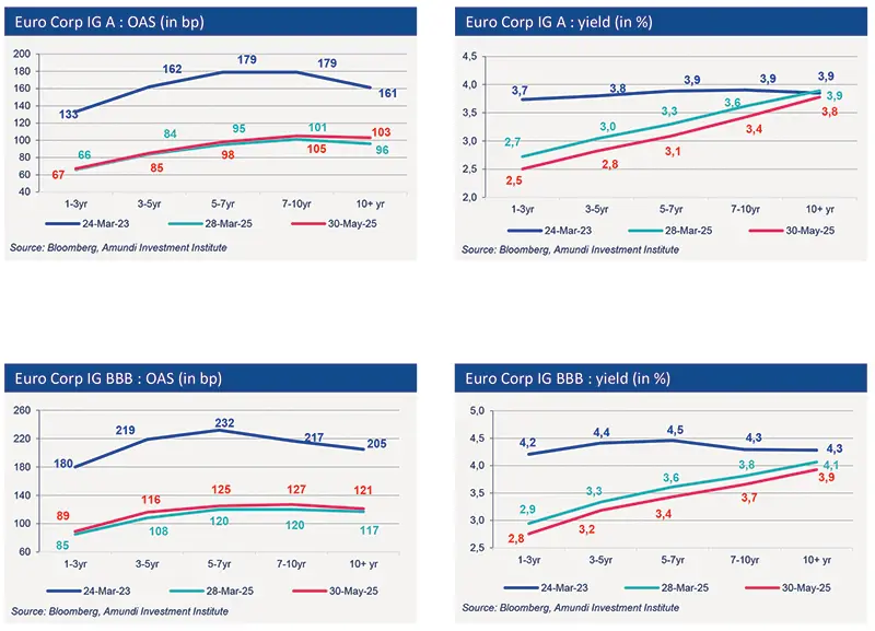 2025-06---Primary-Market-Views - img2.png