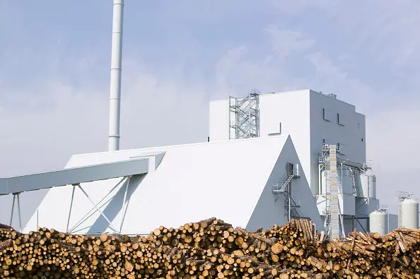 Infrastructure - Cogeneration (biomass and gas-fired)