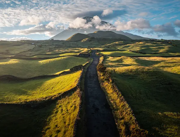 paesaggio verde con colline e montagne in lontananza