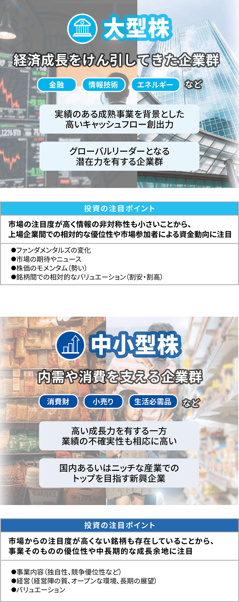 大型株・中小型株の特徴と投資のアプローチ