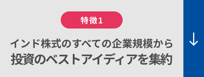 特徴１：インド株式のすべての企業規模から投資のベストアイディアを集約