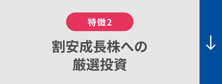 特徴2：割安成長株への厳選投資