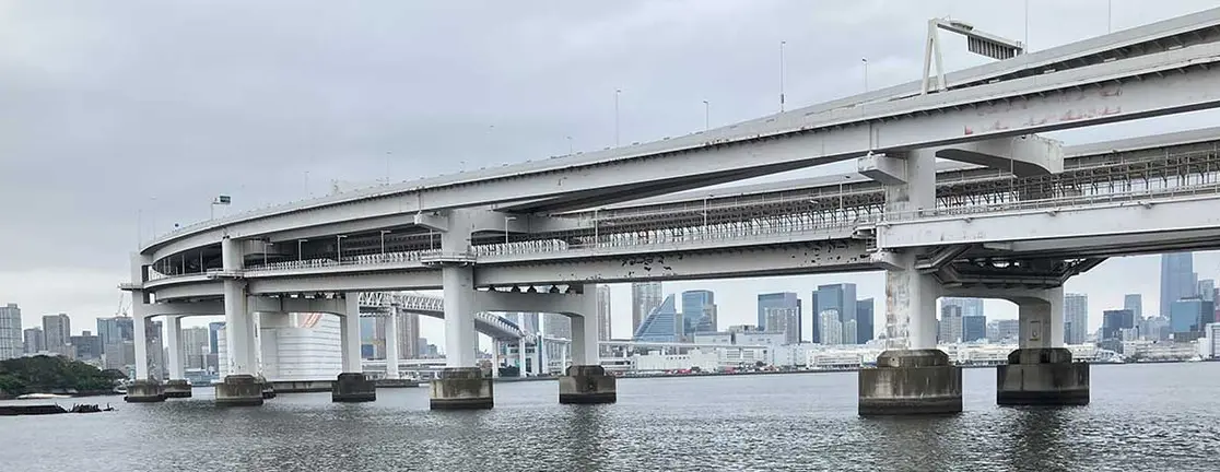 自然と歴史に触れるボランティア活動：お台場海浜公園でのごみ拾いを実施