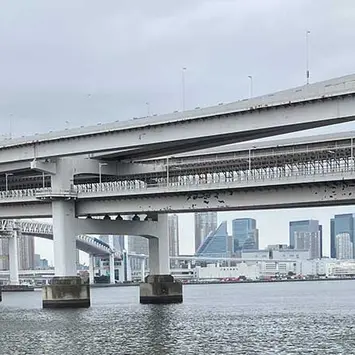自然と歴史に触れるボランティア活動：お台場海浜公園でのごみ拾いを実施