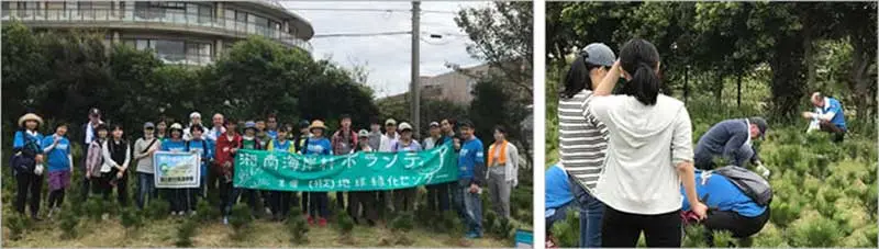 湘南の海岸砂防林を守るボランティア活動