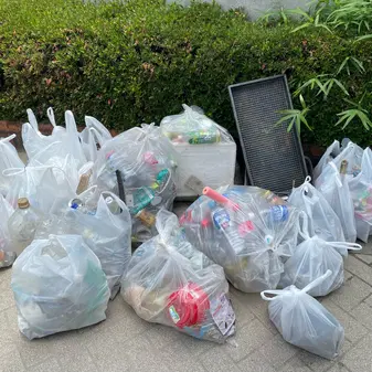 お台場清掃