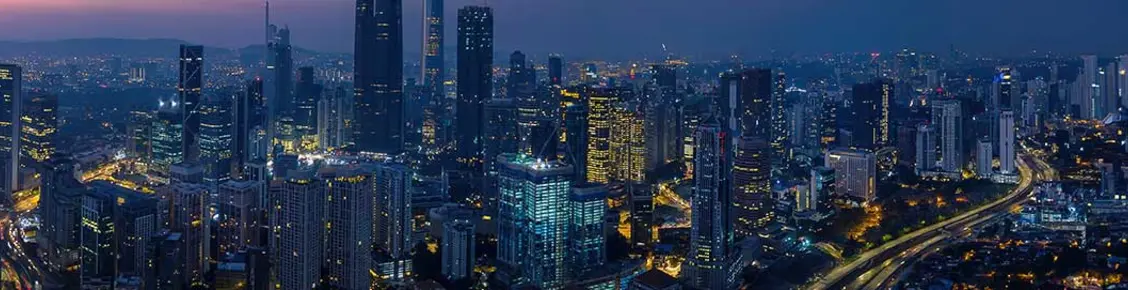 （アムンディ・インデックスシリーズ）大型成長株