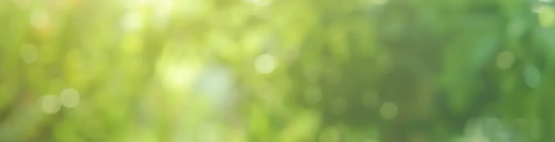 第9回 日仏グリーン金融フォーラム