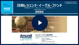 「日興レジェンド・イーグル・ファンド」運用報告動画（2021年11月末現在）