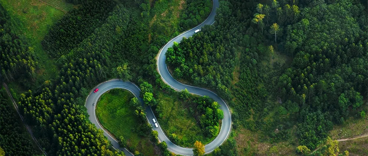 Aerial View Of Winding Road Amidst Trees
