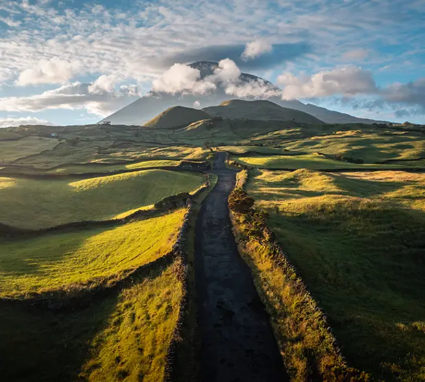 grüne hügelige Landschaft mit Weg 