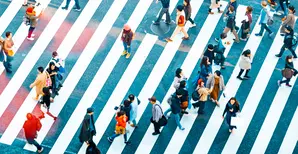 people walking on crosswalks