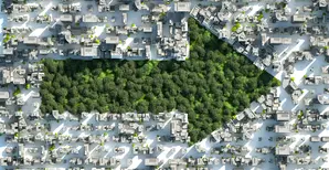 Une flèche en arbres dans une ville