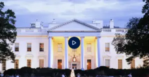 2024 US elections